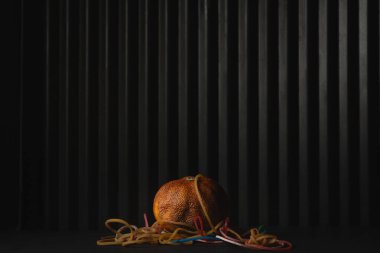 Siyah arka planda çok renkli lastik bantlı kurutulmuş mandalina meyvesi. Dünya Günü konsepti