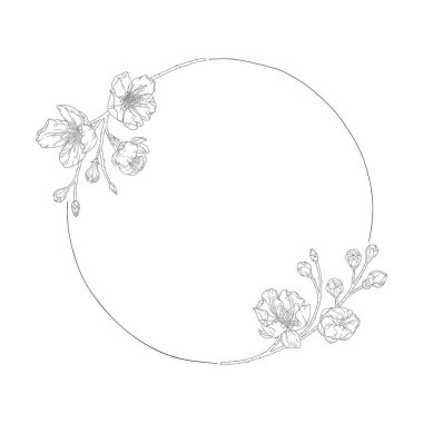 Kayısı çiçeklerinden, tomurcuklardan ve dallardan oluşan bir çelenk, vektör çizimi. Bahar çiçekleri, kiraz ya da şeftali ağacıyla çerçevelenmiş. Çizgi sanatı