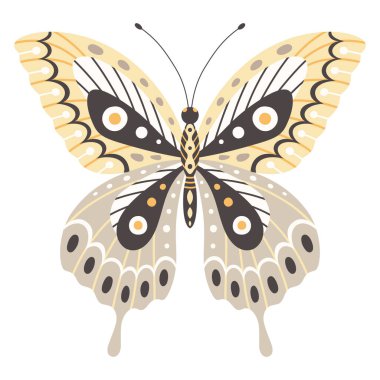 Kelebek vektör çizimi. Dalgalı ve noktalı renkli kanatlar soyut süs, ön görünüş, dövme tasarımı için bir sembol. Yaz arkaplanı, sinek böceği