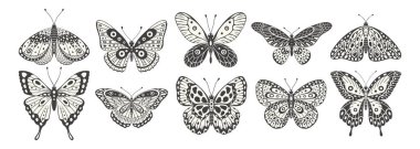 Kelebek ve güve seti, vektör. Y2k tarzı estetik, ön tarafta kanat şekilleri, sihirli semboller koleksiyonu, soyut çizimler. Siyah beyaz dövme izi.