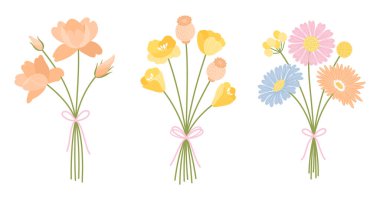 Üç demet kır çiçeği. Çiçek buketi. Kurdeleli çiçekler, vektör illüstrasyonlu. Çayır otları ve tasarım projeleri için yabani bitkiler.