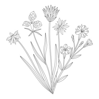 Yaban çiçeği buketi. Çayır çiçekleri, otlar, yabani bitkiler. Çizgi sanatı tarzı, dış hatlar. Tasarım projeleri için botanik el yapımı elementler. Vektör illüstrasyonu
