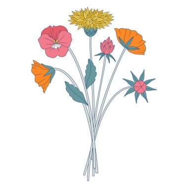 Parlak kır çiçekleri. Knapweed, nonoş, farklı çayır çiçekleri, çiçek açan yabani bitkiler ve otlarla dolu bir demet. Tasarım projeleri için botanik el yapımı elementler. Vektör illüstrasyonu