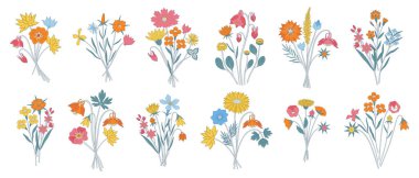 Yaban çiçeği rengarenk buketler. Bir demet çiçek, otlar ve yabani bitkiler. Tasarım projeleri için botanik el yapımı elementler, asgari stil. Vektör illüstrasyonu