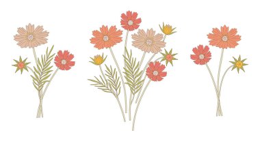 Parlak kozmetik demetleri. Yapraklı kır çiçekleri sürüsü, her daim vahşi bitkiler. Tasarım projeleri için botanik el yapımı elementler. Vektör illüstrasyonu