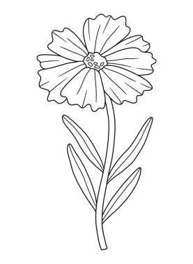 Sanat tarzında yabani çiçek. Çiçek açan yabani bitki, çayır çiçeği, siyah renk, mürekkep izi. Tasarım projeleri için botanik öğesi, boyama kitabı. Ayrıntılı, çiçek vektör illüstrasyonu