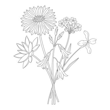 Yıldız çiçekli kır çiçeği buketi, çan çiçeği ve unutma beni. Çayır çiçekleri ve yabani bitkiler. Çizgi sanatı, asgari tarz, dış hatlar. Tasarım projeleri için botanik el yapımı elementler. Vektör illüstrasyonu