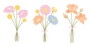 Üç demet kır çiçeği. Çiçek buketi. Kurdeleli çiçekler, vektör illüstrasyonlu. Çayır otları ve tasarım projeleri için yabani bitkiler.
