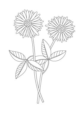 Yapraklı iki çiçek demeti. Bir buket çiçekli yaban bitkisi. Çizgi sanatı, asgari tarz, dış hatlar. Tasarım projeleri için botanik el yapımı elementler. Vektör illüstrasyonu