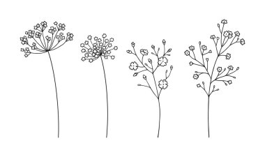 Beyaz arka planda siyah çizgili kızılcık çiçekleri seti. El yapımı çiçekler ve yapraklar. Vahşi bitkiler ve tasarım projeleri için botanik elementler. Vektör illüstrasyonu