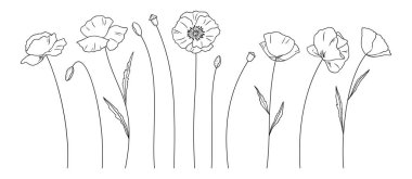 Beyaz arka planda siyah çizgili kır çiçekleri. El yapımı gelincik çiçekleri, tomurcuklar ve yapraklar. Vahşi bitkiler ve tasarım projeleri için botanik elementler. Vektör illüstrasyonu