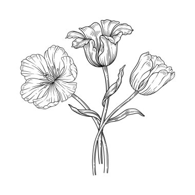 Lale hattı sanat buketi. Yapraklı güzel çiçekler, zarif ince bir çizgi, beyaz arka planda izole edilmiş. Paskalya, Anneler Günü, Kanada Lale Festivali için çizim elementleri. Vektör illüstrasyonu