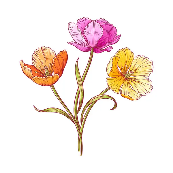 Lale buketi, bir demet parlak renkli çiçek. Paskalya, Anneler Günü ya da Kanadalı lale festivali için güzel bahar çiçekleri. Elle çizilmiş zarif elementler. Tasarım için vektör illüstrasyonu