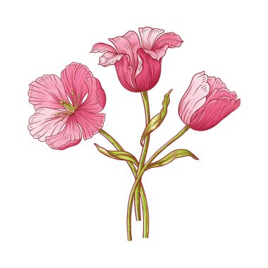 Lale buketi. Bir demet pembe Hollanda çiçeği. Paskalya, Anneler Günü ya da Kanadalı lale festivali için güzel bahar çiçekleri. Tasarım için el yapımı zarif elementler. Vektör illüstrasyonu