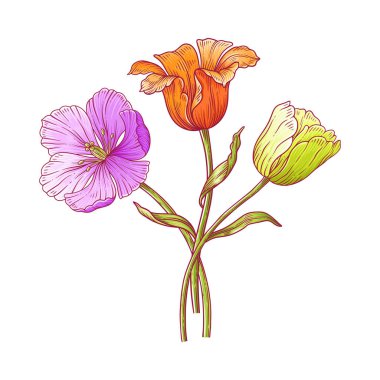 Lale buketi, bir demet parlak renkli Hollanda çiçeği. Paskalya, Anneler Günü ya da Kanadalı lale festivali için güzel bahar çiçekleri. Elle çizilmiş zarif elementler. Tasarım için vektör illüstrasyonu