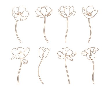 Laleler ayarlandı, asgari sınır. Saplı çiçekler, kahverengi çizimler. Güzel bir bahar dekoru. Sanat tarzında tasarım için klasik elementler çizilmiş. Vektör illüstrasyonu