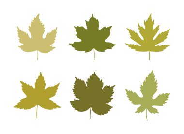 Siluet bahar akçaağaç yaprakları yeşil renklerde. Yaz arkaplanı, yaprak simgeleri, vektör illüstrasyonu