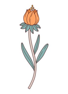 Yabani çiçek koreopsis tomurcuğu, çiçek açan turuncu renk, yeşil yapraklar. Detaylı şekil ve kontur. Elle çizilmiş çayır yaban bitkisi. Botanik element, çiçek vektör illüstrasyonu