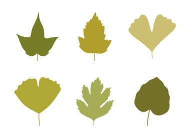 Siluet yay yaprakları yeşil renklerde. Yaz arkaplanı, akçaağaç yaprağı, ginkgo, kavak ağacı ve dikenli dikenler, beyaza izole edilmiş. Yaprak simgeleri, vektör çizimi