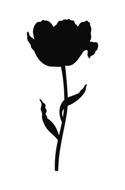 Siyah siluetli lale. Güzel bir eskiz çiçeği, bahar dekoru. Paskalya, Anneler Günü, Kanada Lale Festivali için basit bir tarz çizimi. Vektör illüstrasyonu