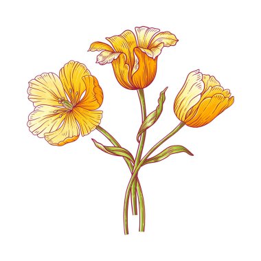 Lale buketi. Bir demet sarı Hollanda çiçeği. Paskalya, Anneler Günü ya da Kanadalı lale festivali için güzel bahar çiçekleri. Tasarım için el yapımı zarif elementler. Vektör illüstrasyonu