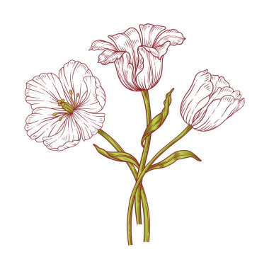 Lale kuyruğu sanat buketi. Yeşil yapraklı ve saplı güzel beyaz çiçekler, beyaz arka planda izole edilmiş. Eskiz, Paskalya için bahar dekoru, Anneler Günü, Kanada Lale Festivali. Vektör illüstrasyonu