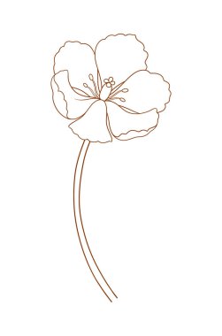 Lale çiçeği, zarif ince çizgi, kahverengi renk. Güzel bir bahar dekoru, az bir stil. Paskalya, Anneler Günü, Kanada Lale Festivali için çizim elementleri. Vektör illüstrasyonu