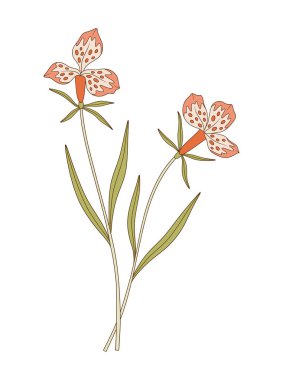 Yapraklı iki egzotik çiçek buketi. Parlak bir demet bitkiler, kır çiçekleri. Tasarım projeleri için botanik el yapımı elementler. Vektör illüstrasyonu