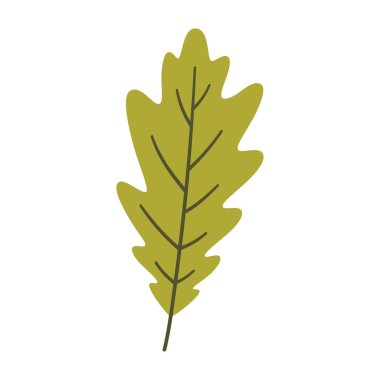 Açık yeşil renkli meşe yaprağı. Bir element beyaza izole edildi. Bahar ya da yaz arkaplanı, vektör illüstrasyonu