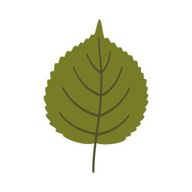 Linden yaprağı koyu yeşil renkte. Bir element beyaza izole edildi. Bahar ya da yaz arkaplanı, vektör illüstrasyonu