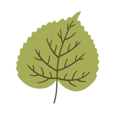 Açık yeşil renkli ıhlamur yaprağı. Bir element beyaza izole edildi. Bahar ya da yaz arkaplanı, vektör illüstrasyonu