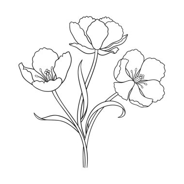 Lale hattı sanat buketi. Güzel minimal çiçekler, zarif siyah ince çizgi, beyaz arka planda izole edilmiş. Paskalya, Anneler Günü, Kanada Lale Festivali için çizim elementleri. Vektör illüstrasyonu