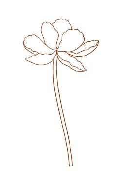 Tulip, zarif kahverengi hatlar. Güzel bir çiçek, bahar dekoru, az bir tarz. Paskalya, Anneler Günü, Kanada Lale Festivali için çizim elementleri. Vektör illüstrasyonu