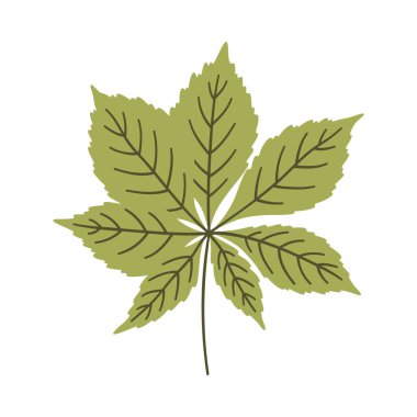 Kestane yaprağı açık yeşil renkte. Bir element beyaza izole edildi. Bahar ya da yaz arkaplanı, vektör illüstrasyonu