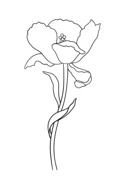 Siyah çizgili lale. Yaprakları ve bahar dekoru olan güzel bir çizim çiçeği. Paskalya, Anneler Günü, Kanada Lale Festivali için asgari stil çizimi. Vektör illüstrasyonu