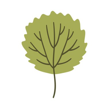 Açık yeşil renkli Aspen yaprağı. Bir element beyaza izole edildi. Bahar ya da yaz arkaplanı, vektör illüstrasyonu