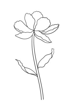 Yapraklı lale çiçeği, zarif ince çizgi, siyah renk. Güzel bir bahar dekoru, az bir stil. Paskalya, Anneler Günü, Kanada Lale Festivali için çizim elementleri. Vektör illüstrasyonu