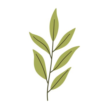 Açık yeşil yapraklı dallar. Bir element beyaza izole edildi. Bahar ya da yaz arkaplanı, vektör illüstrasyonu