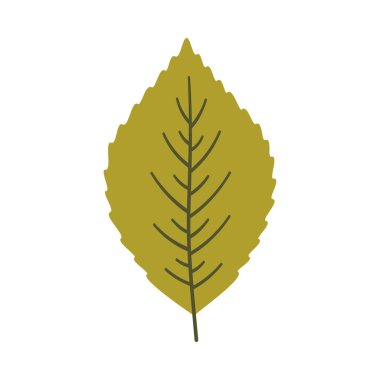 Açık yeşil renkli ağaç yaprağı. Bir element beyaza izole edildi. Bahar ya da yaz arkaplanı, vektör illüstrasyonu