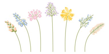 Yaban çiçekleri, tomurcuklu dallar pembe, mavi ve sarı renklerde çiçekler. Çayır renkli otlar ve tasarım projeleri için çeşitli botanik bitkileri. Vektör illüstrasyonu