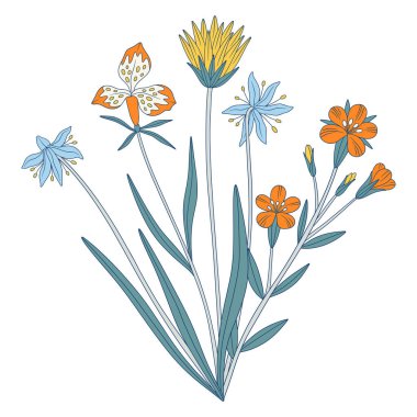 Parlak kır çiçekleri. Bir demet çayır çiçeği, otlar ve yabani bitkiler. Tasarım projeleri için botanik el yapımı elementler. Vektör illüstrasyonu