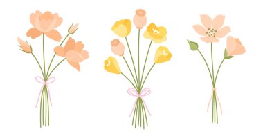 Yaban çiçeği buketleri seti. Nazik çiçek buketleri. Kurdelelerle bağlanmış çiçekler, vektör illüstrasyonu. Tasarım projeleri için çayır otları ve yabani bitkiler