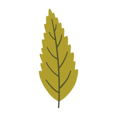 Açık yeşil renkli ağaç yaprağı. Bir element beyaza izole edildi. Bahar ya da yaz arkaplanı, vektör illüstrasyonu