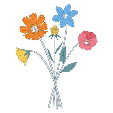 Parlak kır çiçekleri. Bir demet çayırlık çiçek, nonoşlar ve kozmealar, yabani bitkiler, otlar. Tasarım projeleri için botanik el yapımı elementler. Vektör illüstrasyonu