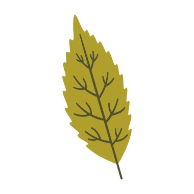 Açık yeşil renkli ağaç yaprağı. Bir element beyaza izole edildi. Bahar arkaplanı, vektör illüstrasyonu