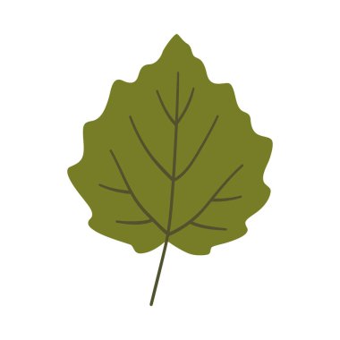 Aspen yaprağı koyu yeşil renkte. Bir element beyaza izole edildi. Bahar ya da yaz arkaplanı, vektör illüstrasyonu