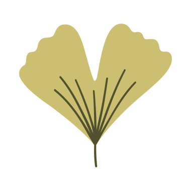 Açık yeşil renkli Ginkgo yaprağı. Bir element beyaza izole edildi. Bahar ya da yaz arkaplanı, vektör illüstrasyonu