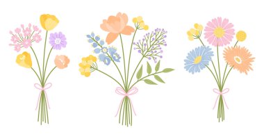 Üç çiçek buketi seti. Yabani çiçek sürüsü. Kurdeleli çiçekler, vektör illüstrasyonlu. Çayır otları ve tasarım projeleri için yabani bitkiler.