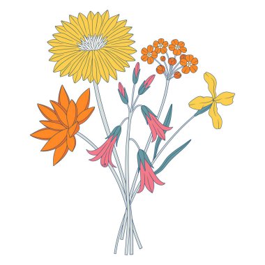 Parlak kır çiçekleri. Yıldız çiçekleri, çan çiçekleri, unutma beni, ve yabani bitkiler. Tasarım projeleri için botanik el yapımı elementler. Vektör illüstrasyonu