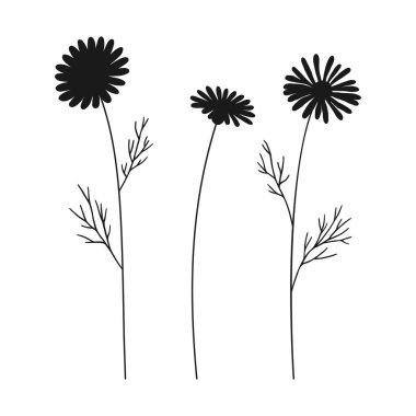 Beyaz arka planda siyah renkli papatya çiçeği seti. Çiçekler ve yapraklar. Vahşi bitkiler ve tasarım projeleri için botanik elementler. Vektör illüstrasyonu